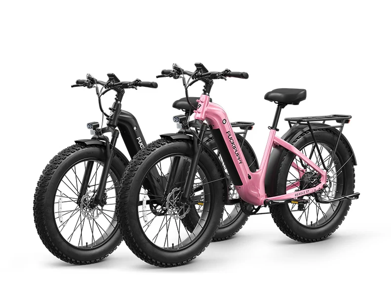 Puckipuppy Beagle 2 ST electric bike