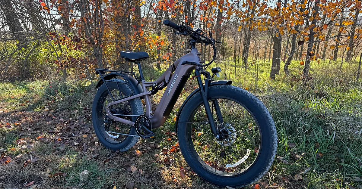 Puckipuppy Samoyed electric bicycle
