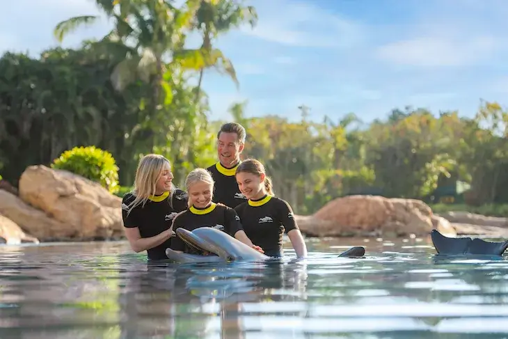 Discovery Cove day resort ticket listing image